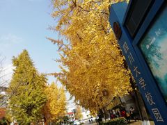 -四川大学(望江校区)
