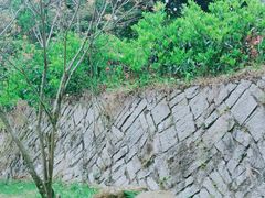 -鼓岭旅游度假区