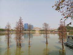 -顺峰山公园