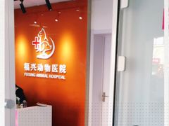 -瑞派福兴宠物医院犬猫全科·骨科·中西医结合(河东店)