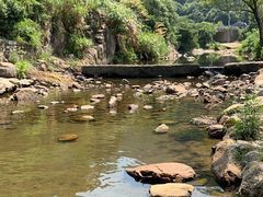 -北仑森林植物园