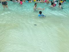 -杭州开元森泊度假乐园