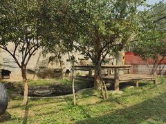 -石家庄市动物园