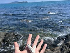 -三亚西岛海洋文化旅游区