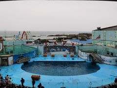-海合安青岛极地海洋公园