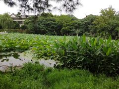 -范蠡湖公园