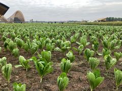 -中国天府农业博览园