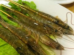 -金砂阿洲鱼册店