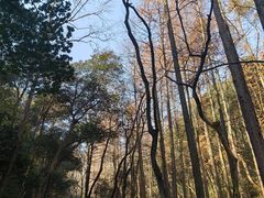 -虎跑公园