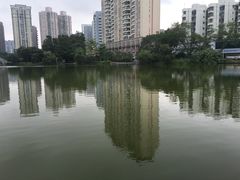 -四海公园(南山区)