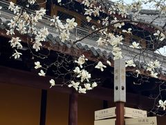 -龙华寺