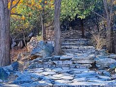 -北京鹫峰国家森林公园