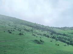 -大姆山草场