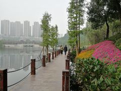 -重庆彩云湖湿地公园