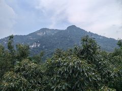 -沂蒙山旅游区云蒙景区(蒙山国家森林公园)