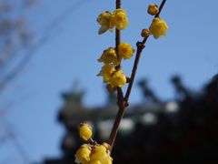 -月坛公园