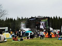 -黄海国家森林公园