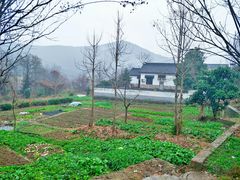 -石塘人家