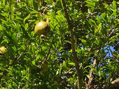 -狼山风景名胜区