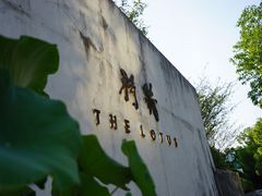 -几荷·恰似故人来(秀水广场店)