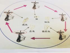 -痘院长·祛痘·皮肤管理