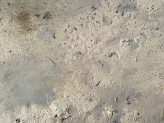 -北海金海湾红树林生态旅游区