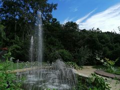 -燕塞湖鸟语林景区