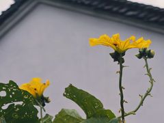 -鹿亭中村