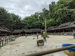 -野象谷景区