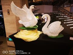 -白天鹅宾馆·流浮阁咖啡厅