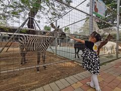 -迪茵湖田家舍生态农场