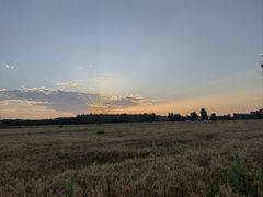 -汉长安城未央宫国家考古遗址公园