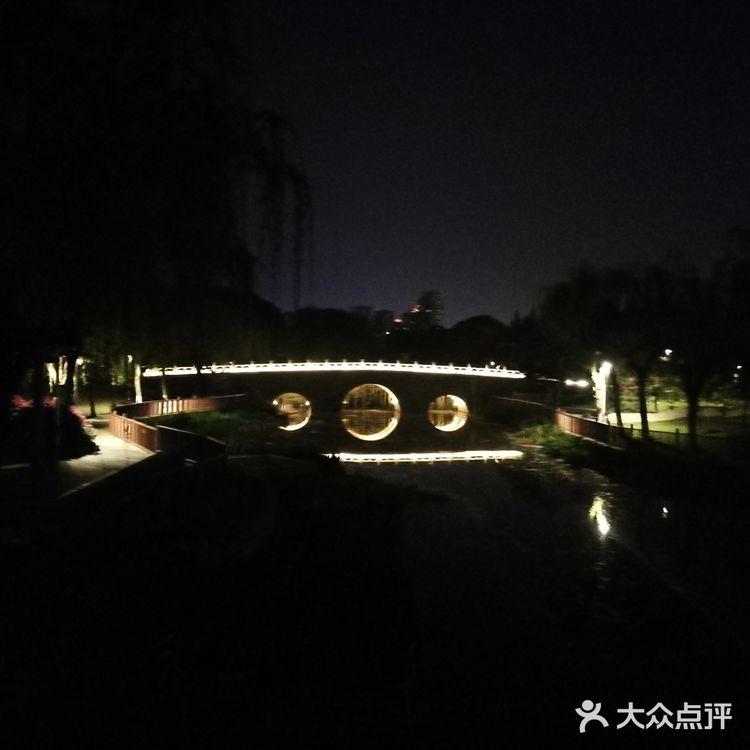 那天有个特色就是兰花展 兰花品种很多 拍拍照挺好的！