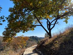 -蟠龙山长城景区