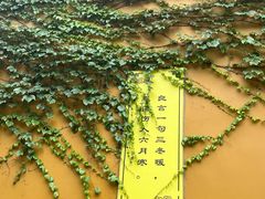 -西园戒幢律寺