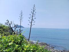 -漳州滨海火山岛自然生态风景区