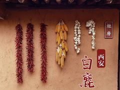 -白鹿原影视城