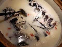 -梅地亚君澜度假酒店俱乐部