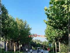 -辛玛王国游乐园