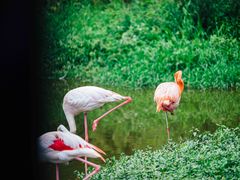 -杭州野生动物世界