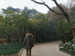 -上海市龙华烈士陵园