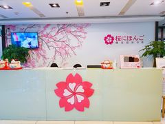 -樱花国际日语(人广中心)