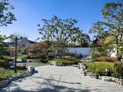 -上海滨江森林公园