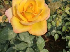 -人民公园(罗湖区)