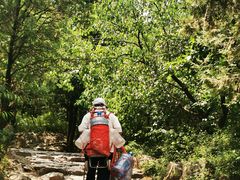 -阳台山自然风景区