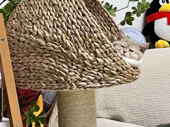 -北京恒爱动物医院(清景园分院)