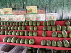 -西瓜小镇