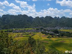 -三星授权体验店(西新街店)
