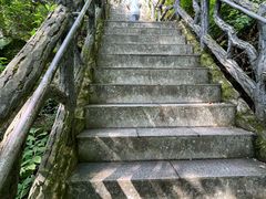 -汤旺河林海奇石景区