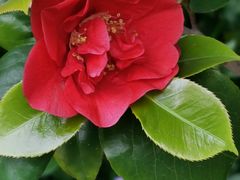 -苏州河梦清园环保主题公园